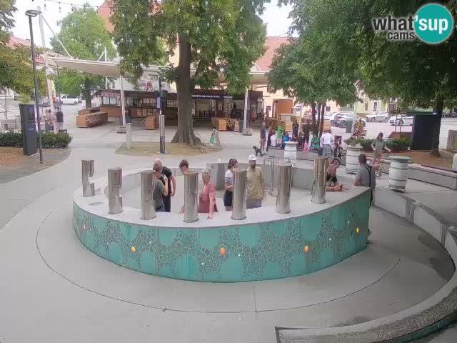Spletna kamera Fontana Piv – Zeleno zlato Žalec