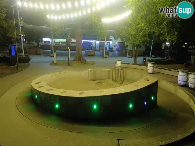 Bier-Springbrunnen Webcam Žalec – Grünen Goldes