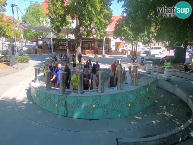 Fontana di birra Webcam – Oro verde – Žalec