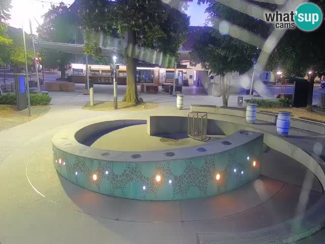 Bier-Springbrunnen Webcam Žalec – Grünen Goldes