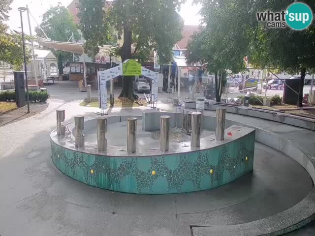 Web kamera Fontana piva – Zeleno zlato – Žalec