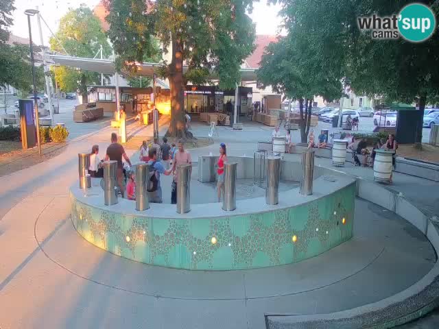 Web kamera Fontana piva – Zeleno zlato – Žalec