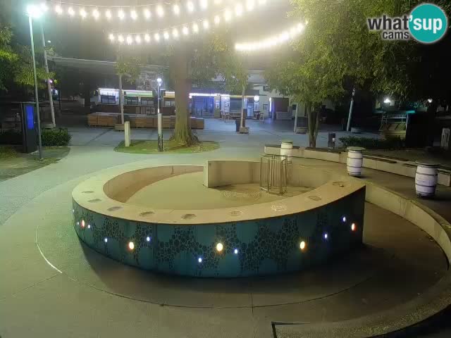 Fontana di birra Webcam – Oro verde – Žalec