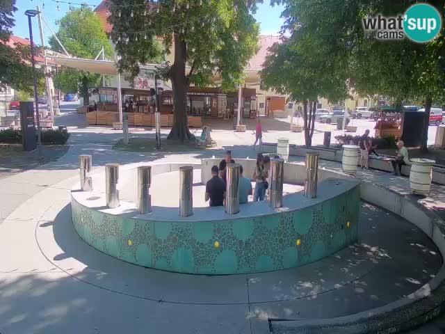 Fontana di birra Webcam – Oro verde – Žalec