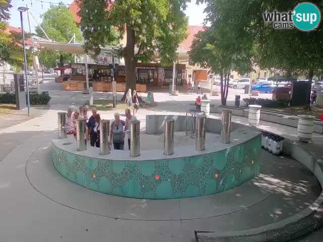 Fontana di birra Webcam – Oro verde – Žalec