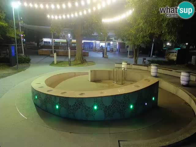 Bier-Springbrunnen Webcam Žalec – Grünen Goldes