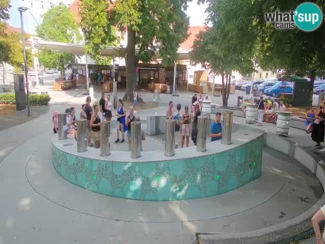 Camera en vivo Fuente de cerveza – Oro verde – Žalec