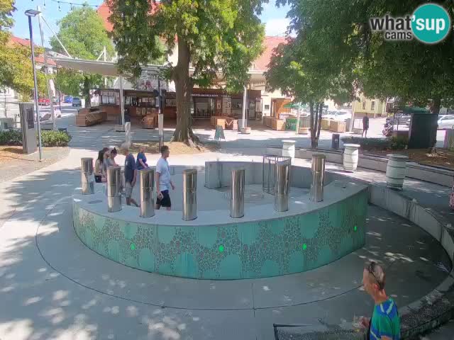Spletna kamera Fontana Piv – Zeleno zlato Žalec