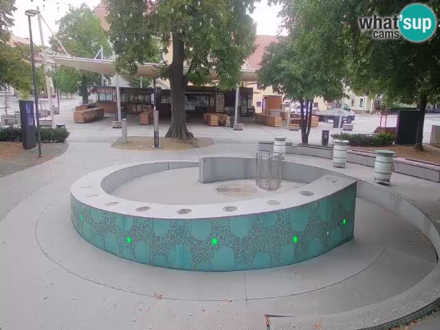 Bier-Springbrunnen Webcam Žalec – Grünen Goldes