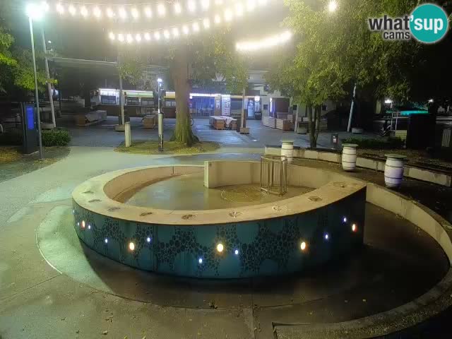 Bier-Springbrunnen Webcam Žalec – Grünen Goldes