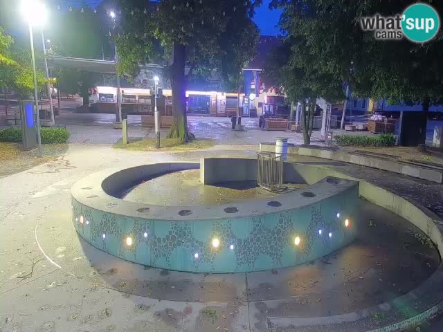 Web kamera Fontana piva – Zeleno zlato – Žalec
