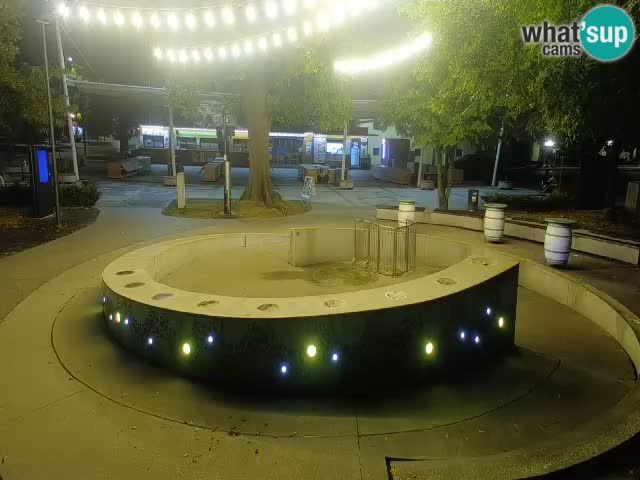 Fontaine à bière LIVE webcam – Or vert – Žalec