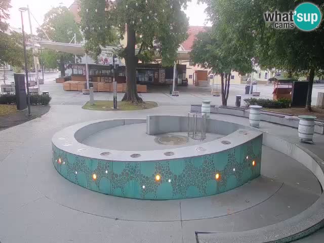 Bier-Springbrunnen Webcam Žalec – Grünen Goldes