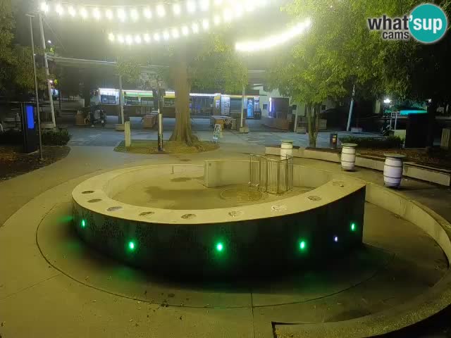 Bier-Springbrunnen Webcam Žalec – Grünen Goldes