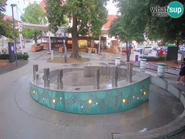 Fontana di birra Webcam – Oro verde – Žalec