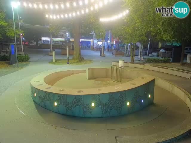 Fontaine à bière LIVE webcam – Or vert – Žalec