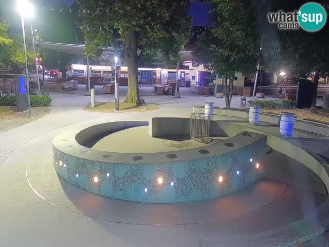 Bier-Springbrunnen Webcam Žalec – Grünen Goldes