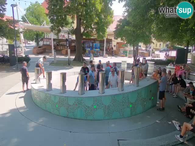 Camera en vivo Fuente de cerveza – Oro verde – Žalec