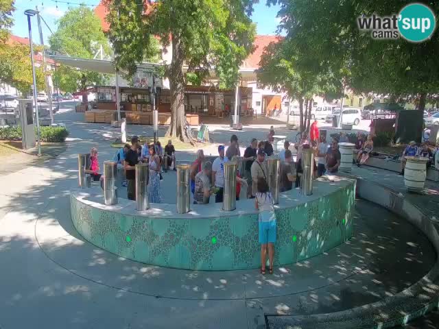 Fontana di birra Webcam – Oro verde – Žalec