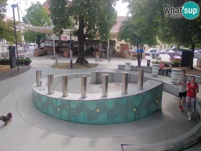Fontana di birra Webcam – Oro verde – Žalec