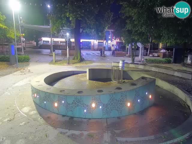Fontana di birra Webcam – Oro verde – Žalec