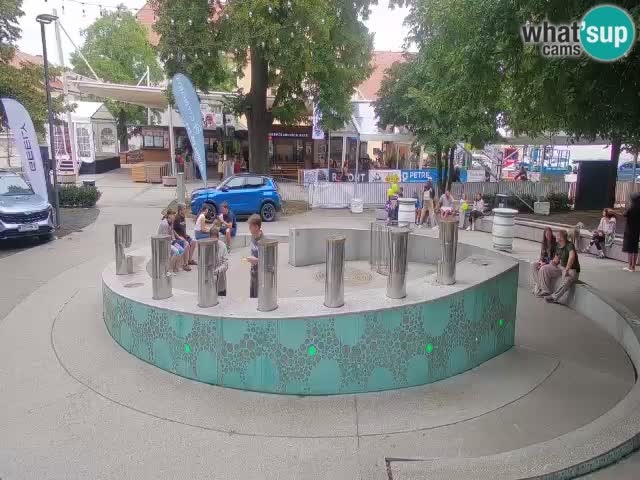 Bier-Springbrunnen Webcam Žalec – Grünen Goldes
