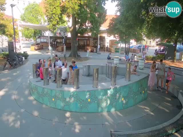 Camera en vivo Fuente de cerveza – Oro verde – Žalec