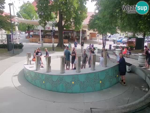 Web kamera Fontana piva – Zeleno zlato – Žalec
