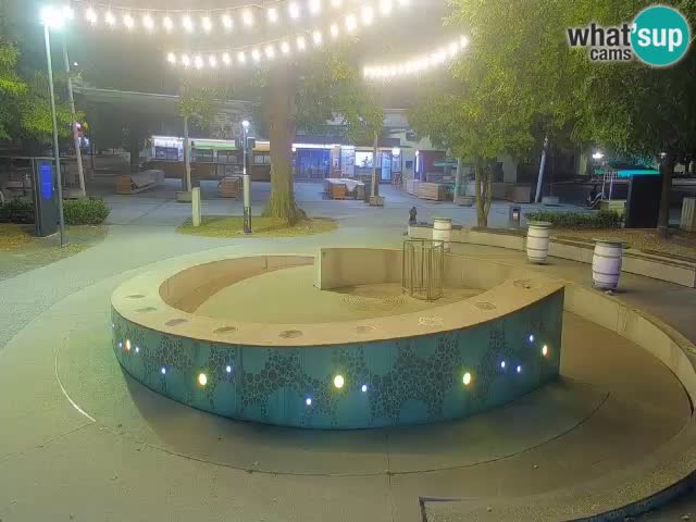 Fontaine à bière LIVE webcam – Or vert – Žalec