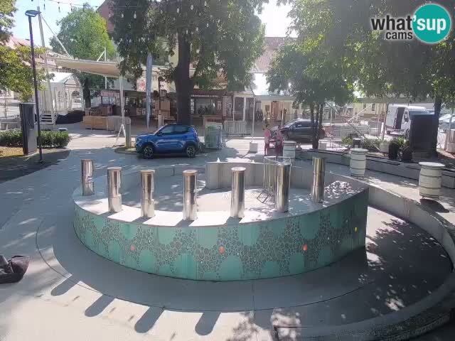 Web kamera Fontana piva – Zeleno zlato – Žalec