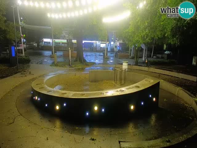 Spletna kamera Fontana Piv – Zeleno zlato Žalec