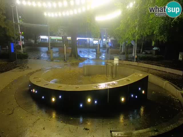 Fontaine à bière LIVE webcam – Or vert – Žalec
