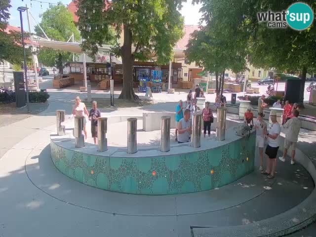 Bier-Springbrunnen Webcam Žalec – Grünen Goldes