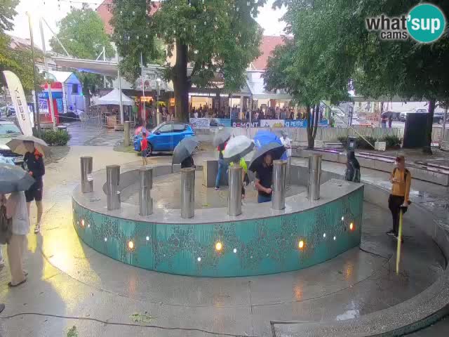 Fontaine à bière LIVE webcam – Or vert – Žalec