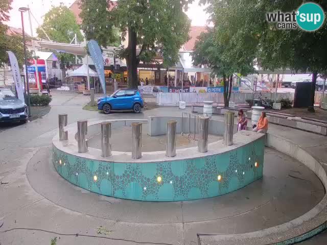 Spletna kamera Fontana Piv – Zeleno zlato Žalec