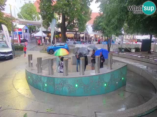 Bier-Springbrunnen Webcam Žalec – Grünen Goldes