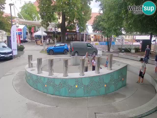 Fontana di birra Webcam – Oro verde – Žalec