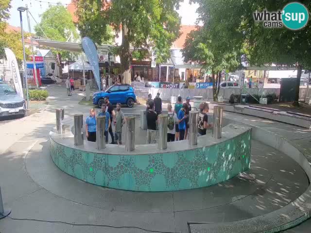 Spletna kamera Fontana Piv – Zeleno zlato Žalec