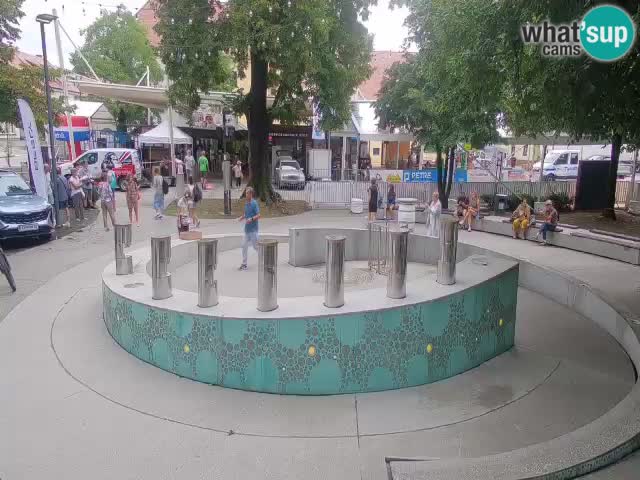 Fontana di birra Webcam – Oro verde – Žalec
