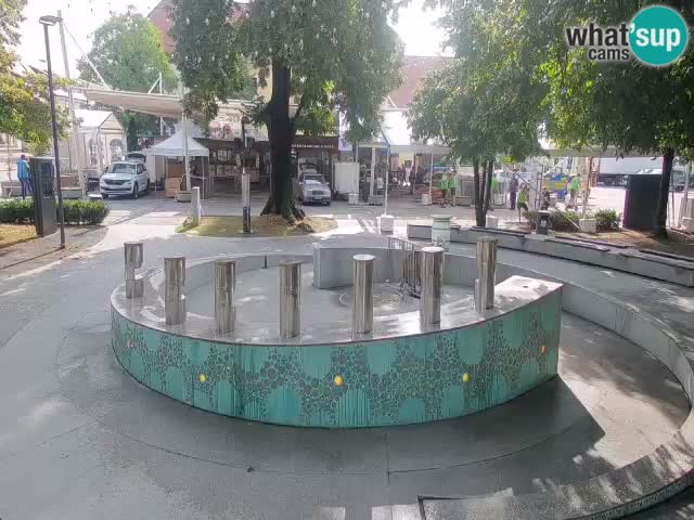 Spletna kamera Fontana Piv – Zeleno zlato Žalec