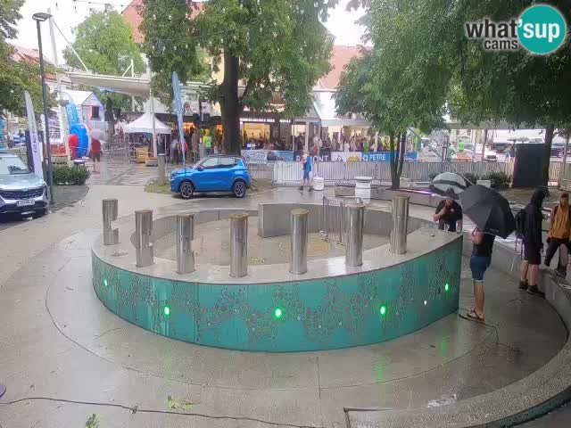 Fontana di birra Webcam – Oro verde – Žalec