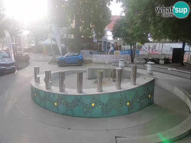 Fontana di birra Webcam – Oro verde – Žalec