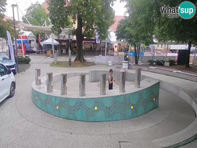 Fontana di birra Webcam – Oro verde – Žalec