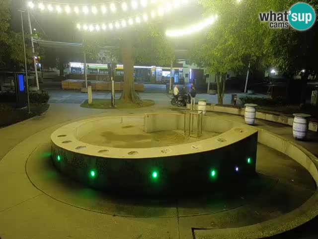Fontana di birra Webcam – Oro verde – Žalec