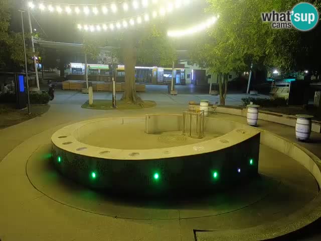 Camera en vivo Fuente de cerveza – Oro verde – Žalec
