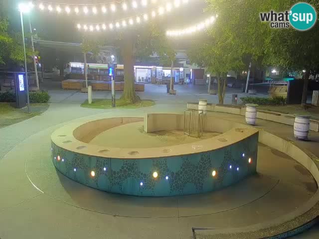 Fontaine à bière LIVE webcam – Or vert – Žalec