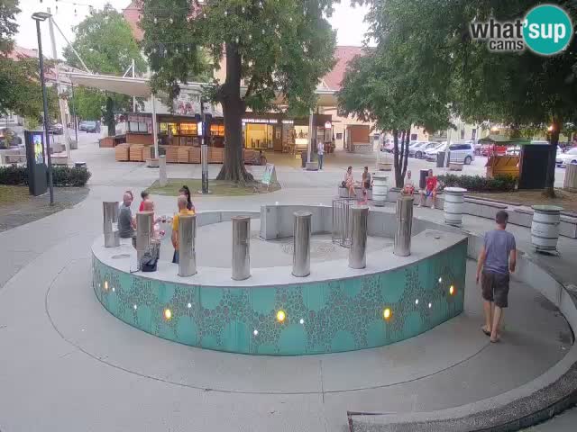 Fontaine à bière LIVE webcam – Or vert – Žalec