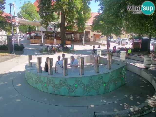 Bier-Springbrunnen Webcam Žalec – Grünen Goldes
