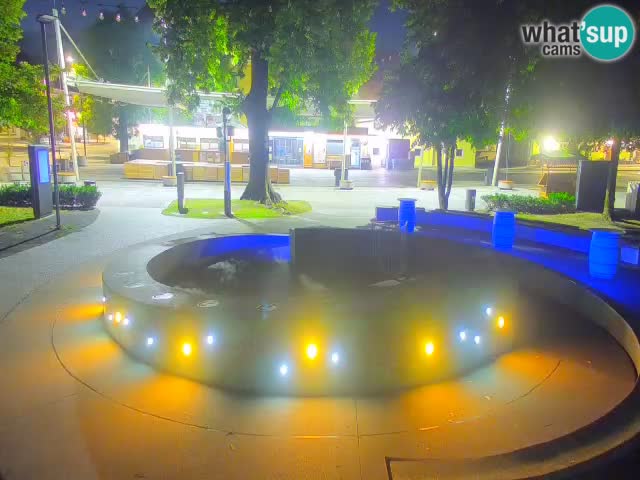 Camera en vivo Fuente de cerveza – Oro verde – Žalec