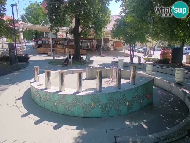 Fontana di birra Webcam – Oro verde – Žalec